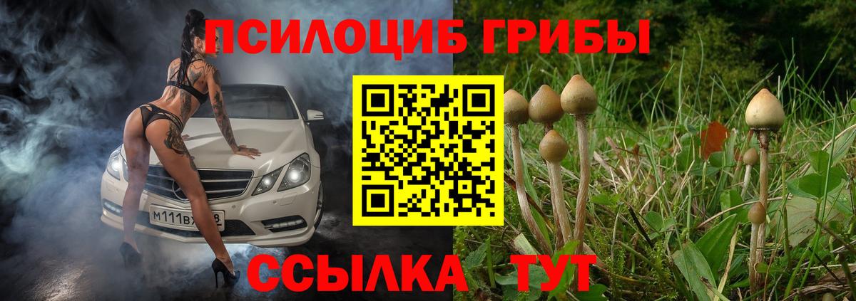 Галлюциногенные грибы Psilocybine cubensis Ишим